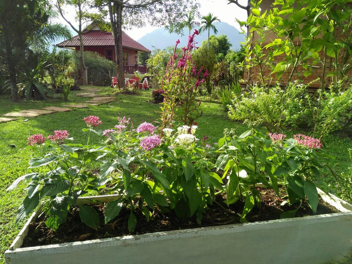 Maesai Doi View Villa Ban Dong Ma Tun Buitenkant foto